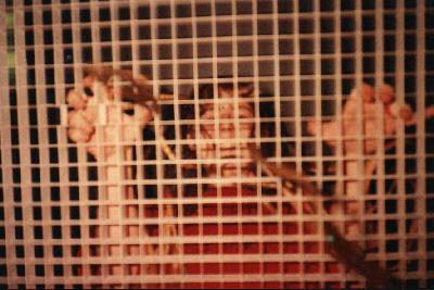 [Me in the vent!]